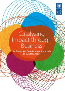 Catalyzing Impact through Business – An Ecosystem Development Approach to meet the SDGs