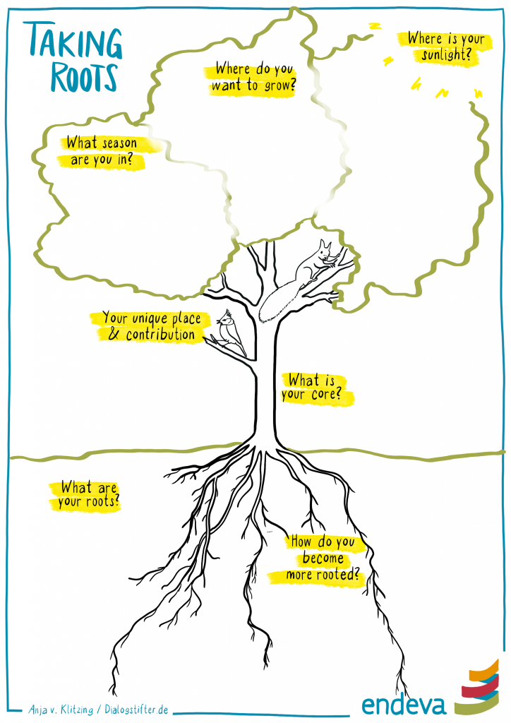 Thanks to Anja von Klitzing, we can share this year’s reflection image of a tree with deep roots, a strong trunk and a reaching crown, inviting you to pause and ask: What are your roots and how do you become more rooted? What is your core and your unique contribution? Where do you want to grow, and where is your sunlight?
